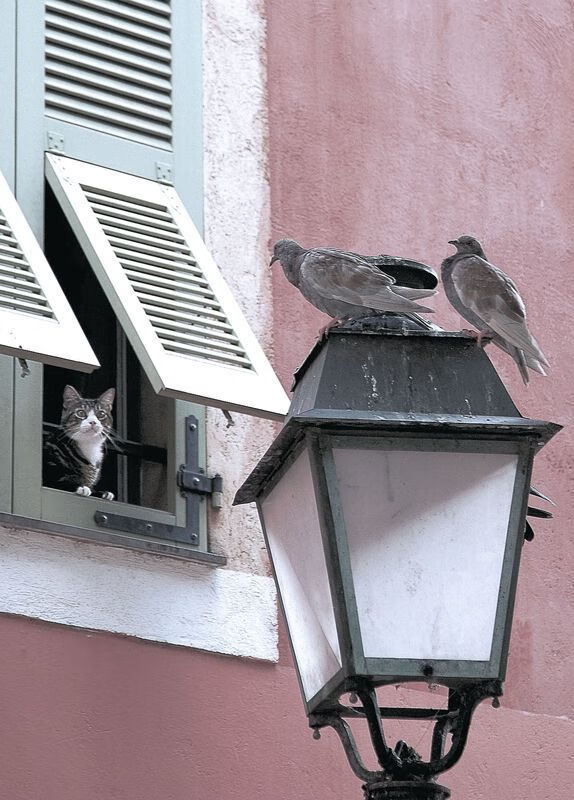 开云官网在线-未来世界足球比赛将融合增强现实技术，沉浸式体验提升，未来的足球可能长什么样